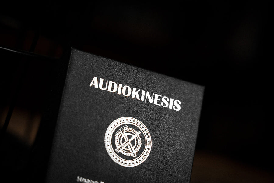 Audiokinesis by Hoang Doan Minh & Artisan Coin