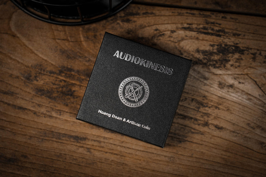 Audiokinesis by Hoang Doan Minh & Artisan Coin