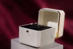 The Magic Ring Box by TCC Magic